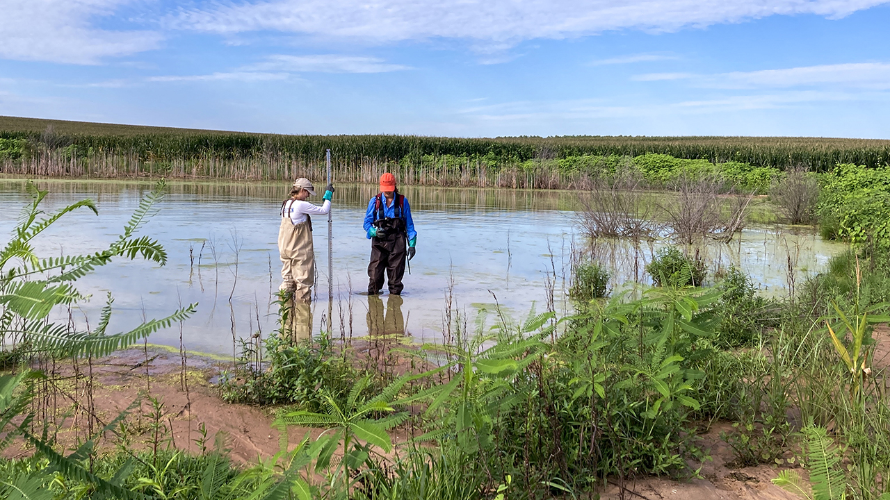 Two people use instruments to monitor water levels geographically isolated wetlands. Frances O’Donnell, associate professor in civil and environmental engineering, is partnering with NASA to study such wetlands and their environmental impact. 